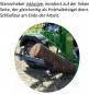 Preview: Thor Holzspalter Farmer V 13 t mit Aufsteck-Pumpe Neues Modell