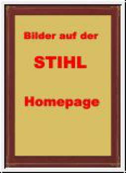 Stihl Rückentragbares Blasgerät BR 350 Laubbläser